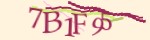 Mã bảo mật